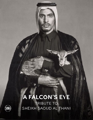 Book cover for A Falcon’s Eye