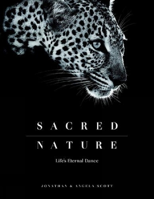 Book cover for Sacred Nature