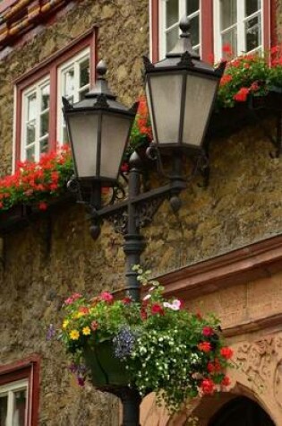 Cover of A Flower Decorated Lantern in Holland