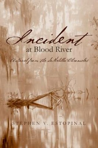 Cover of Incident at Blood River