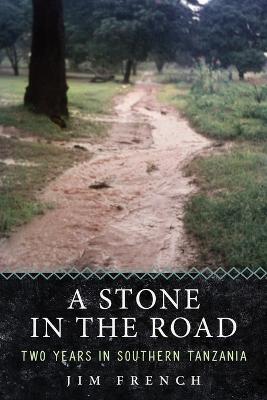 Book cover for A Stone in the Road