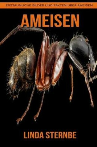 Cover of Ameisen