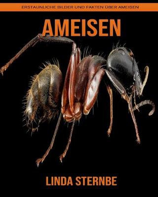 Book cover for Ameisen