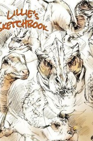 Cover of Lillie's Sketchbook
