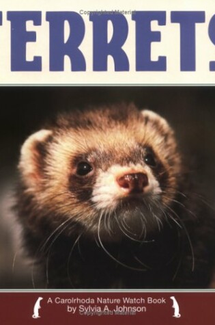 Cover of Ferrets Nature Watch