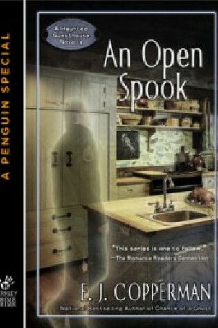 Cover of An Open Spook