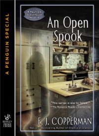 Book cover for An Open Spook