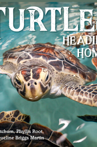 Cover of Turtles Heading Home!