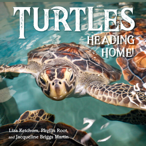 Book cover for Turtles Heading Home!