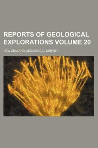 Cover of Reports of Geological Explorations Volume 20