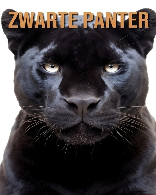 Book cover for Zwarte Panter