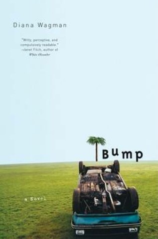 Cover of Bump