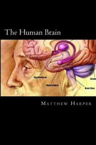 Cover of The Human Brain