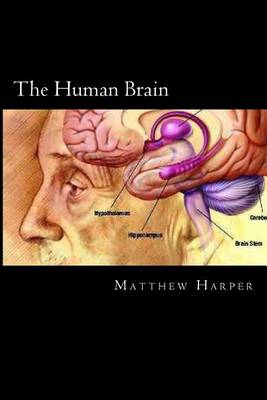 Book cover for The Human Brain