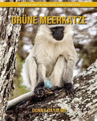 Book cover for Grüne Meerkatze