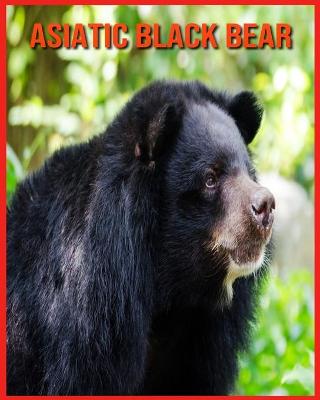 Book cover for Asiatic Black Bear