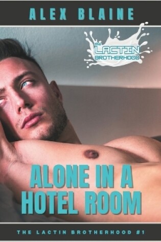 Cover of Alone in a Hotel Room