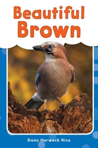 Cover of Beautiful Brown