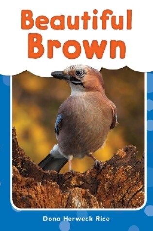 Cover of Beautiful Brown