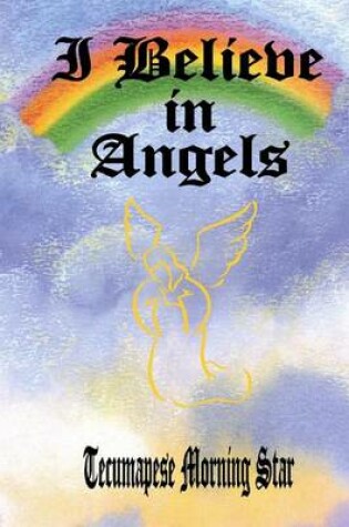 Cover of I Believe in Angels