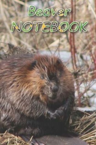 Cover of Beaver NOTEBOOK
