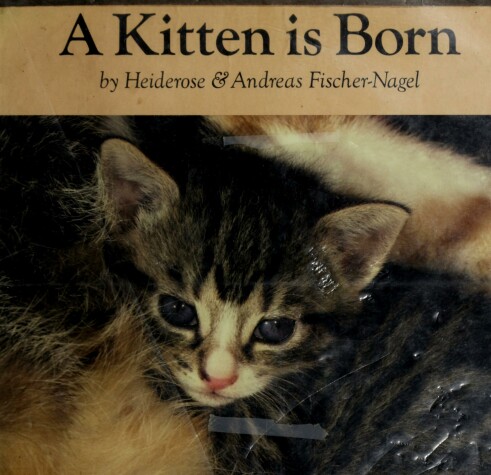 Book cover for Kitten Is Born