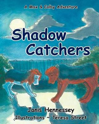 Cover of Shadow Catchers