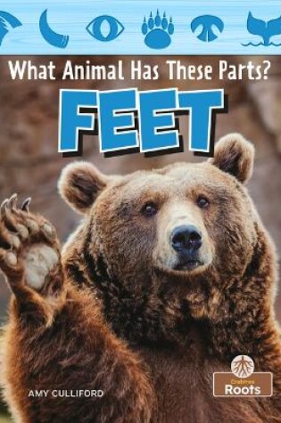 Cover of Feet