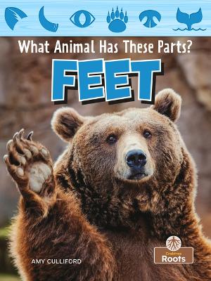 Book cover for Feet