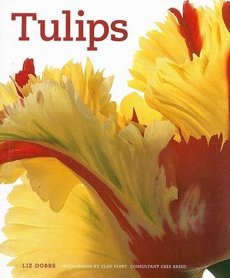 Book cover for Tulips