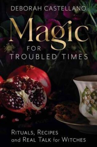 Cover of Magic for Troubled Times
