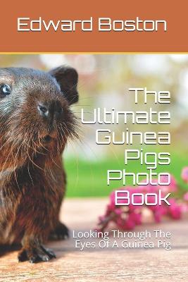 Cover of The Ultimate Guinea Pigs Photo Book