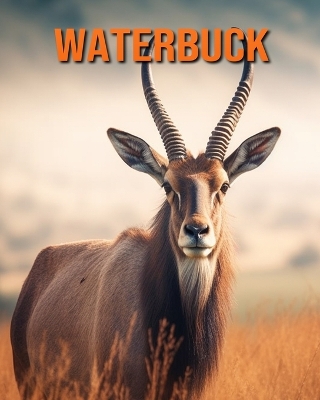 Book cover for Waterbuck