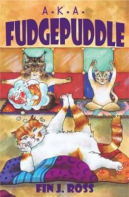 Book cover for A.K.A. Fudgepuddle