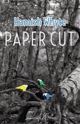 Book cover for Paper Cut