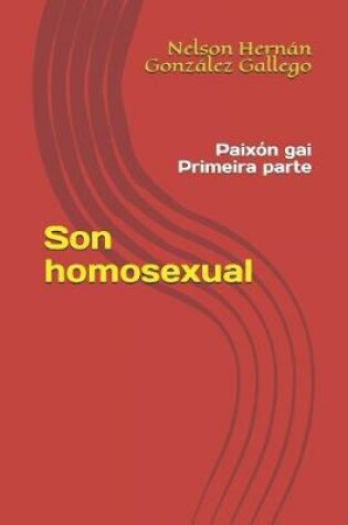 Cover of Son homosexual