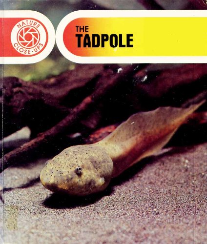 Cover of The Tadpole