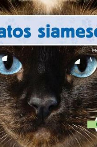 Cover of El Gato Siames, El