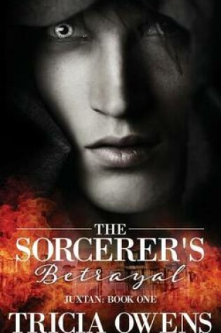 Cover of The Sorcerer's Betrayal