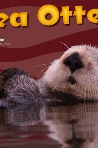 Cover of Sea Otters