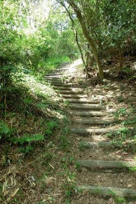 Book cover for Stairway in the Forest Journal