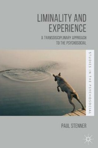 Cover of Liminality and Experience