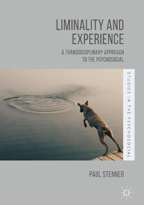 Cover of Liminality and Experience