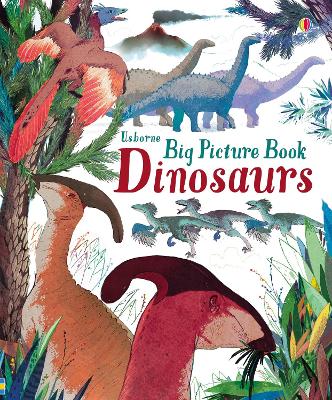 Book cover for Big Picture Book Dinosaurs