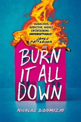 Book cover for Burn It All Down