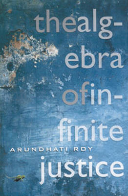 Book cover for The Algebra of Infinite Justice