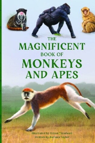 Cover of The Magnificent Book of Monkeys and Apes