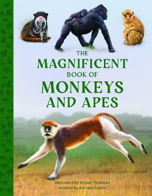 Book cover for The Magnificent Book of Monkeys and Apes