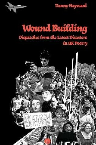 Cover of Wound Building