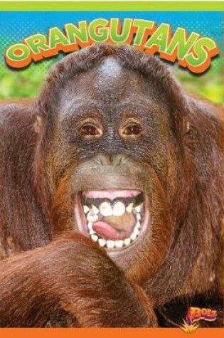 Cover of Orangutans